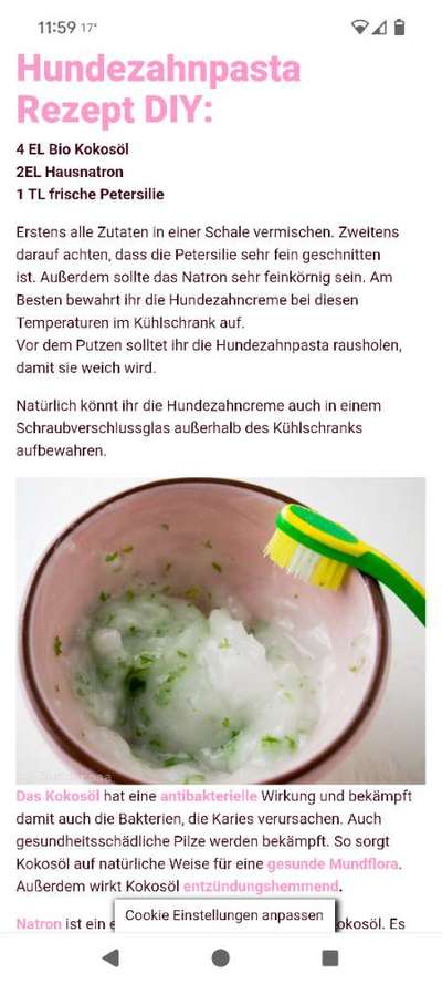 Hundezahnpasta selber machen?-Beitrag-Bild