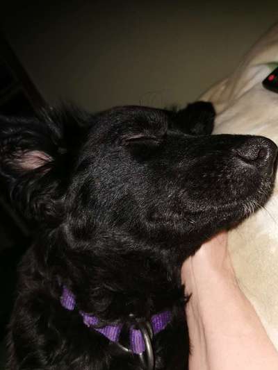 FOTO-Challenge  NR. 91: Die pure Entspannung-Beitrag-Bild