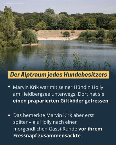 Giftköder-Giftköder-Bild
