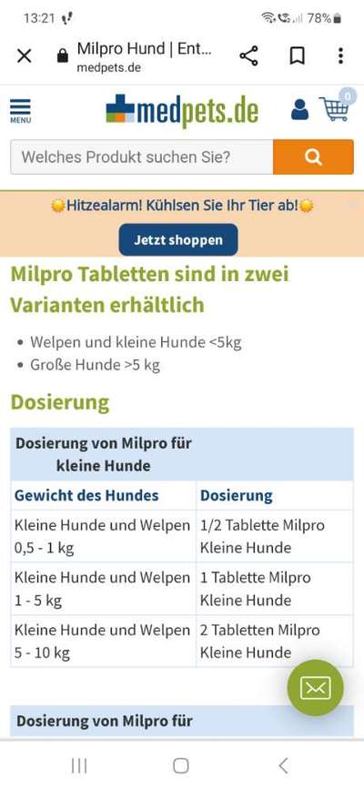 Wurmkur!-Beitrag-Bild