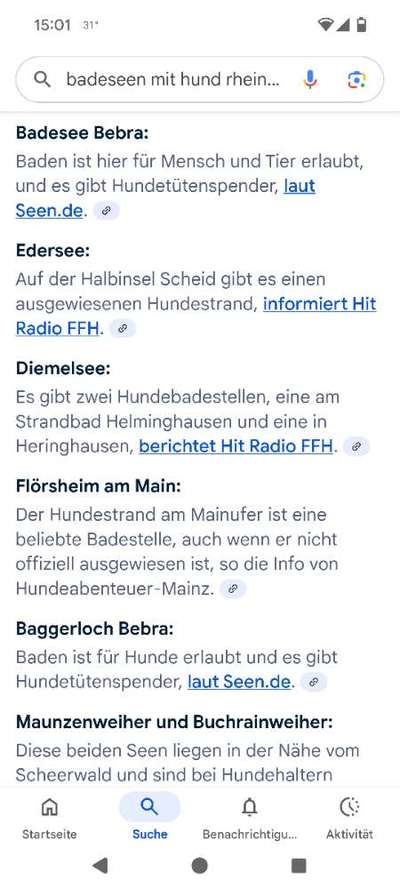 Badesee mit Hund-Beitrag-Bild
