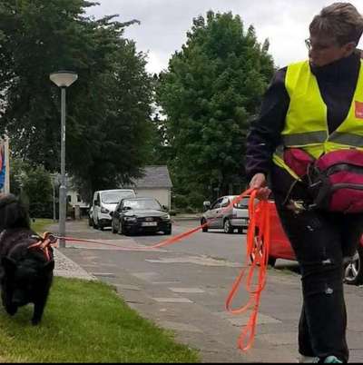 Frage zu Mantrailing-Beitrag-Bild