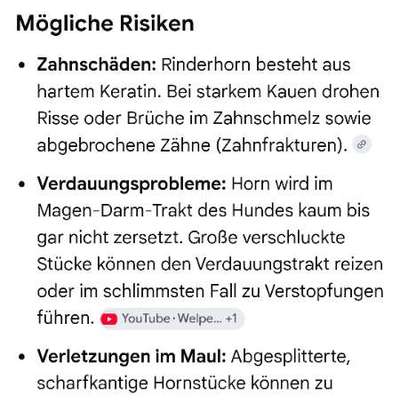 Hirschgeweih/ Rinderhorn-Beitrag-Bild