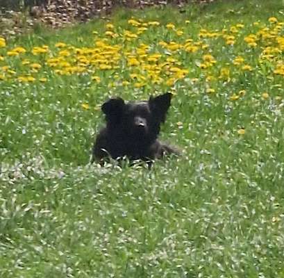 Zeigt eure schönsten Sommerbilder-Beitrag-Bild