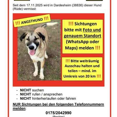 Suchmeldung-Joris-Bild