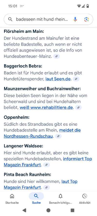 Badesee mit Hund-Beitrag-Bild