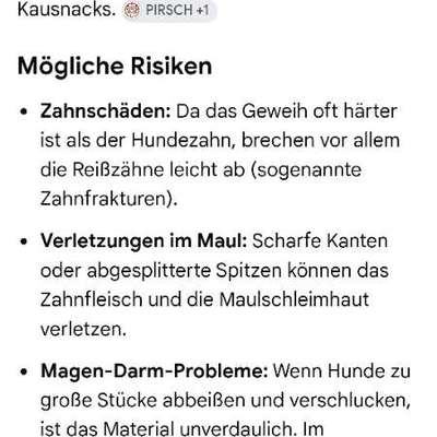 Hirschgeweih/ Rinderhorn-Beitrag-Bild