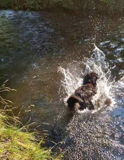 Zeigt eure schönsten Sommerbilder-Beitrag-Bild