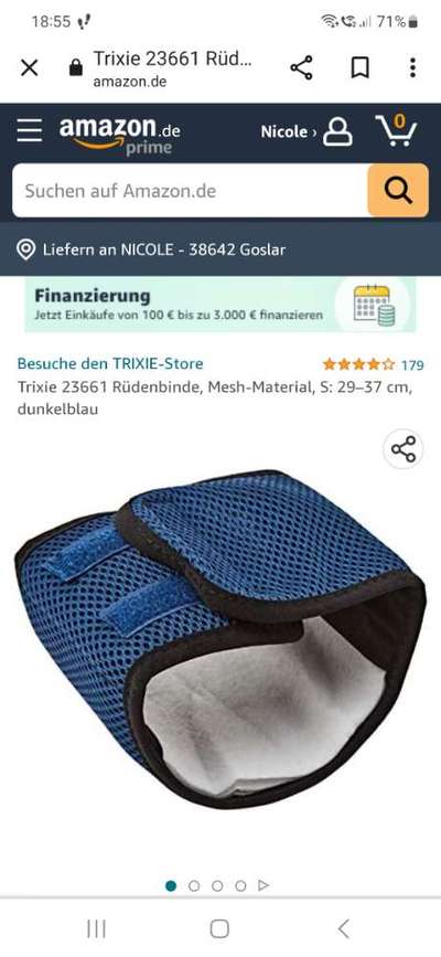 Inkontinenz Rüde- Windeln?-Beitrag-Bild