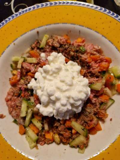 Zeigt her Eure Futternäpfe-Beitrag-Bild