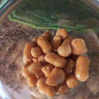 Leckerli bei Futtermilbenallergie-Beitrag-Bild