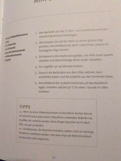 Trainigsschmeckis-Beitrag-Bild