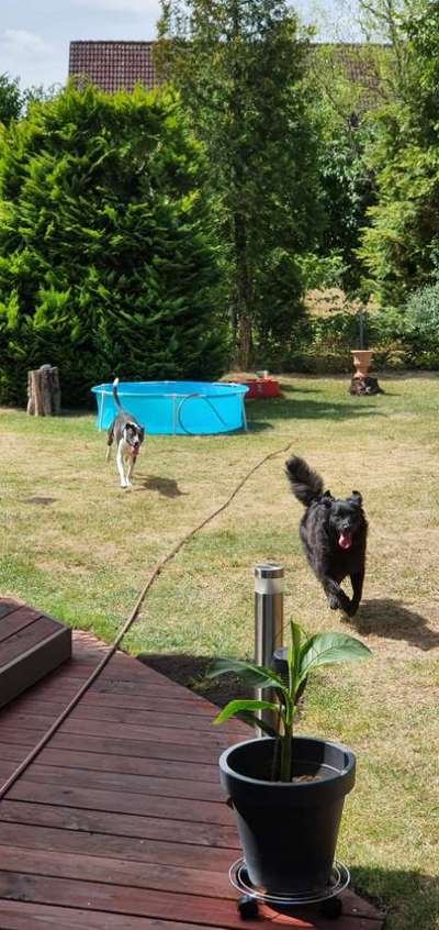 Handyfoto challenge Nr. 13: Waschlappen raus!-Beitrag-Bild