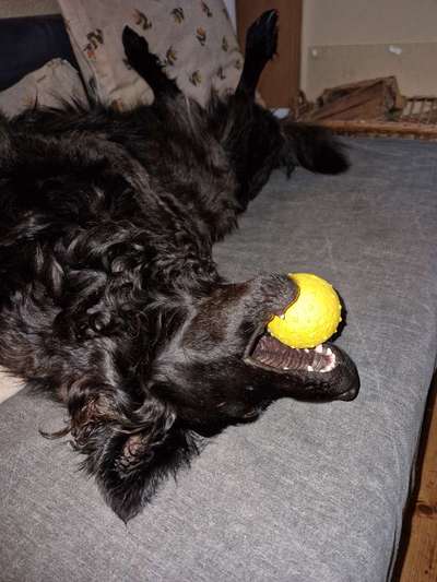 Fotowettbewerb zum Thema "Sonne"-Beitrag-Bild