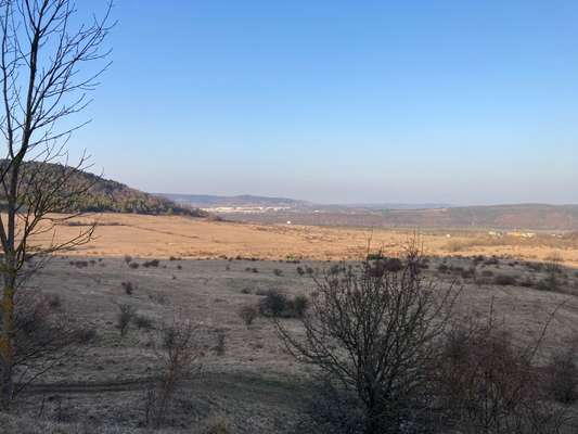 Hundeauslaufgebiet-Ehemaliger Schießplatz-Bild