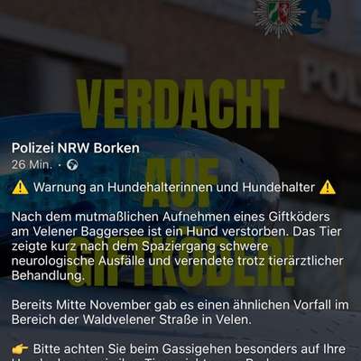 Giftköder-Giftköder-Bild