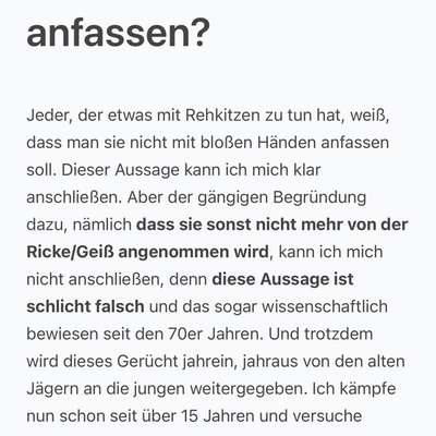 Leinenpflicht – nervige Einschränkung oder sinnvoller Schutz?-Beitrag-Bild