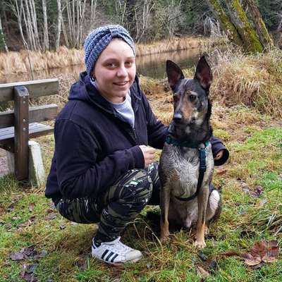 Hundetreffen-Spaziergang-Profilbild