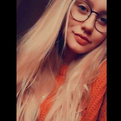 Hundetreffen-Waldspaziergang