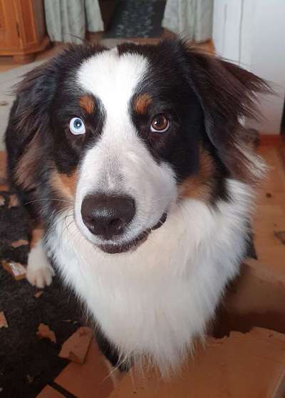 Fotochallange Nr. 57     PORTRÄT.   Beendet!!!!!!!!-Beitrag-Bild