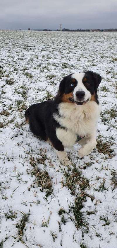 Handy-foto Challange nr. 11-Beitrag-Bild