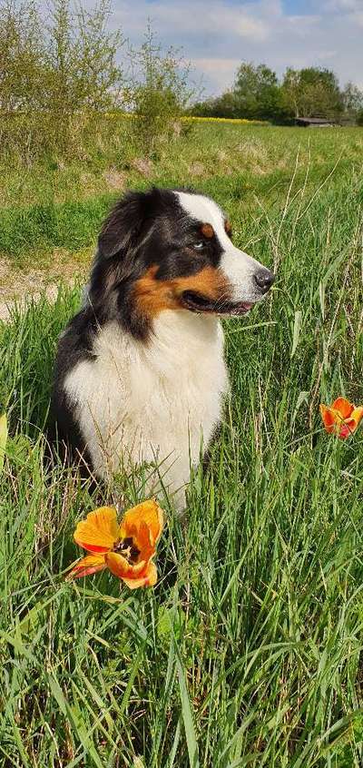 Handy-Foto-Challange Nr.9-Beitrag-Bild