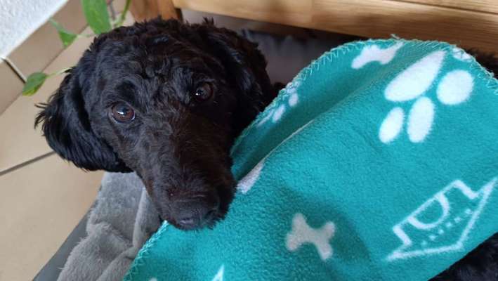 80. Foto  Challenge - Versteckt/ in einer Höhle-Beitrag-Bild