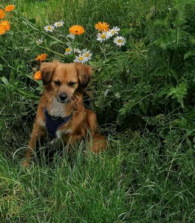 Fotowettbewerb Natur-Beitrag-Bild