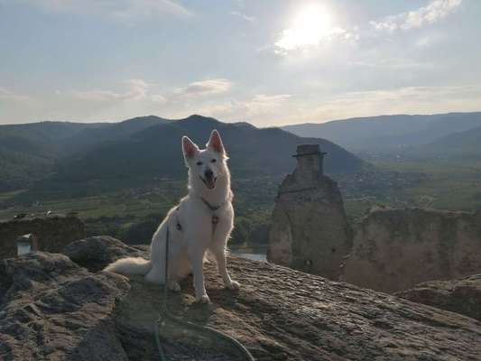 Fotowettbewerb zum Thema "Sonne"-Beitrag-Bild