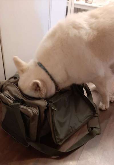 25. Collage Challenge - Urlaub ich packe meine Koffer-Beitrag-Bild