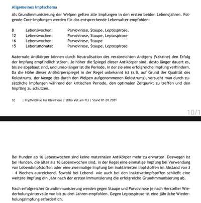 Impfung Welpe-Beitrag-Bild