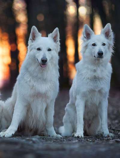 Fotochallenge 130-Beitrag-Bild