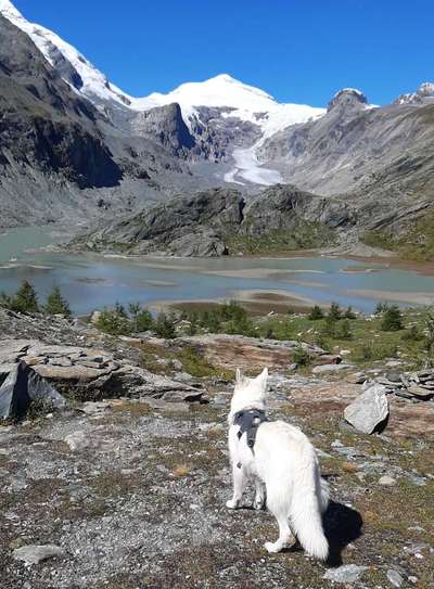 Dogorama Foto Challenge - Wanderziel-Beitrag-Bild