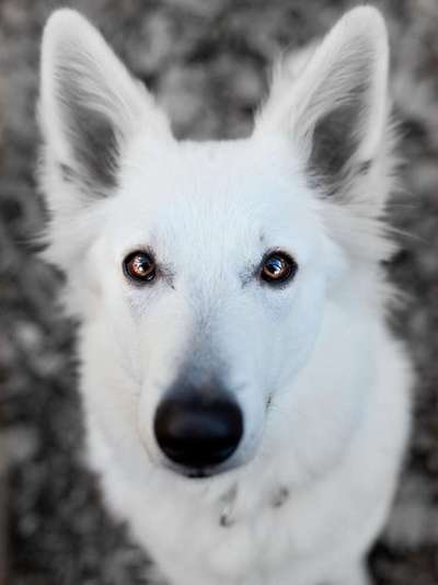 6. Farben Foto Challenge: "ColourKey Effekt"-Beitrag-Bild