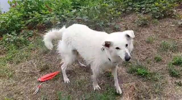 Foto Challenge Nr.133-Beitrag-Bild