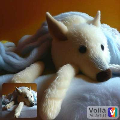 Voila app Bilder-Beitrag-Bild