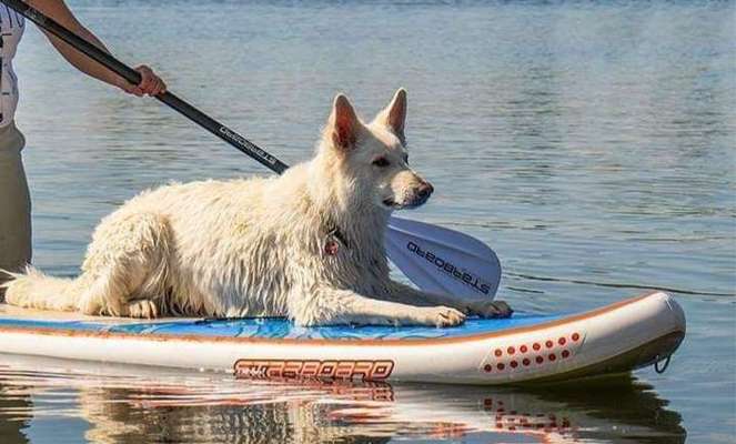 10. Farben Foto-Challenge ---- Blau-Beitrag-Bild