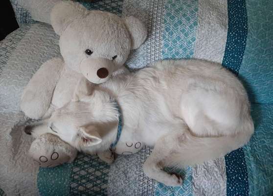 Foto Challenge Nr. 134-Beitrag-Bild