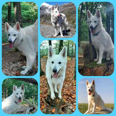 18. Collagen Challenge - Zunge raus!-Beitrag-Bild