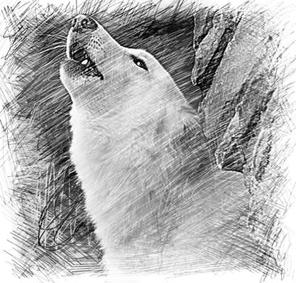 Fotochallenge 124 - Dein Comic-Hund-Beitrag-Bild