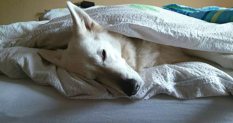 121. Fotochallenge-Beitrag-Bild