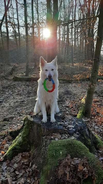 Farben Fotochallenge Sonnenlicht-Beitrag-Bild