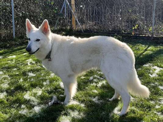 Vor dem Friseur - nach dem Friseur-Beitrag-Bild