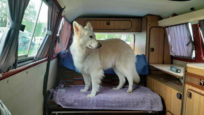 25. Collage Challenge - Urlaub ich packe meine Koffer-Beitrag-Bild