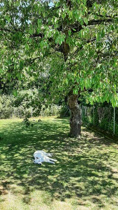 140. Foto Challenge - schattiges Plätzchen-Beitrag-Bild