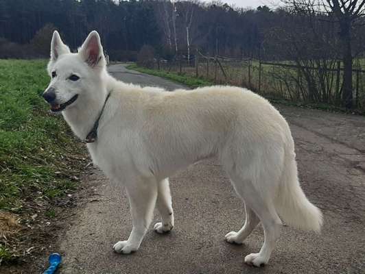 Vor dem Friseur - nach dem Friseur-Beitrag-Bild