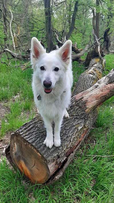 Fotochallenge Nr.122-Beitrag-Bild