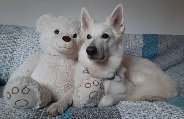 14. Farbenfoto-Challenge "Weiss"-Beitrag-Bild