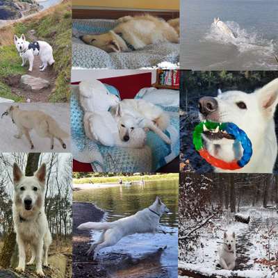 22. Collagen Challenge- Lebensfreude-Beitrag-Bild