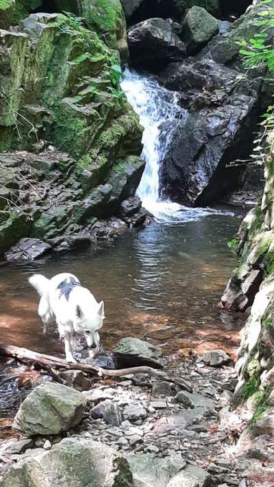 35. Handy Foto Challenge - Das nasse Element-Beitrag-Bild